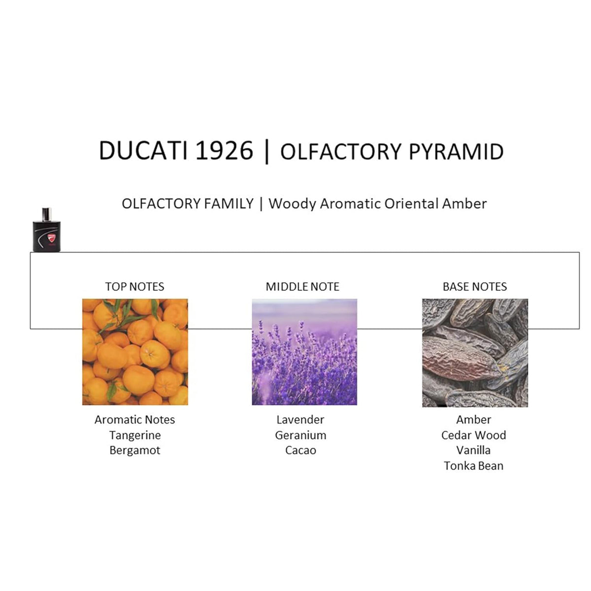 Aromatic Fougere 3.4 oz EDT Spray P5891