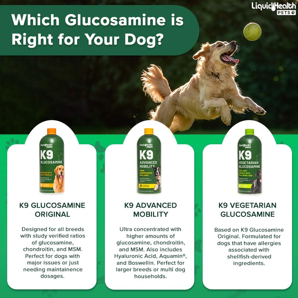 Liquid Glucosamine for Dogs with Chondroitin MSM 32 oz X2650