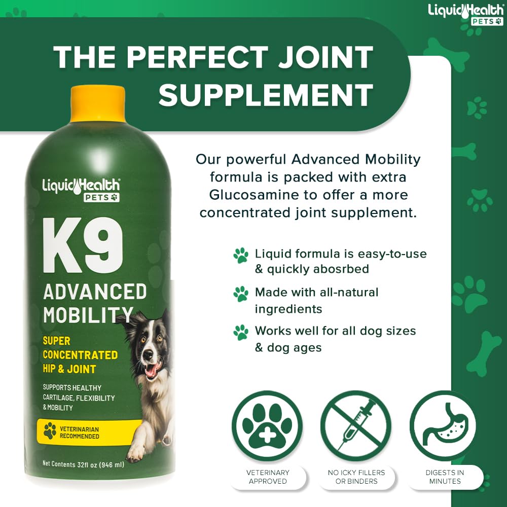 Liquid Glucosamine for Dogs with Chondroitin MSM 32 oz X2650