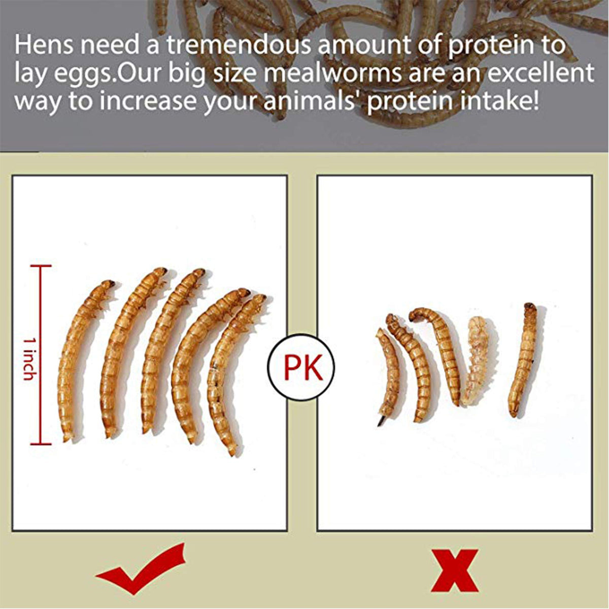 20 LBS Non-GMO Dried Mealworms E335