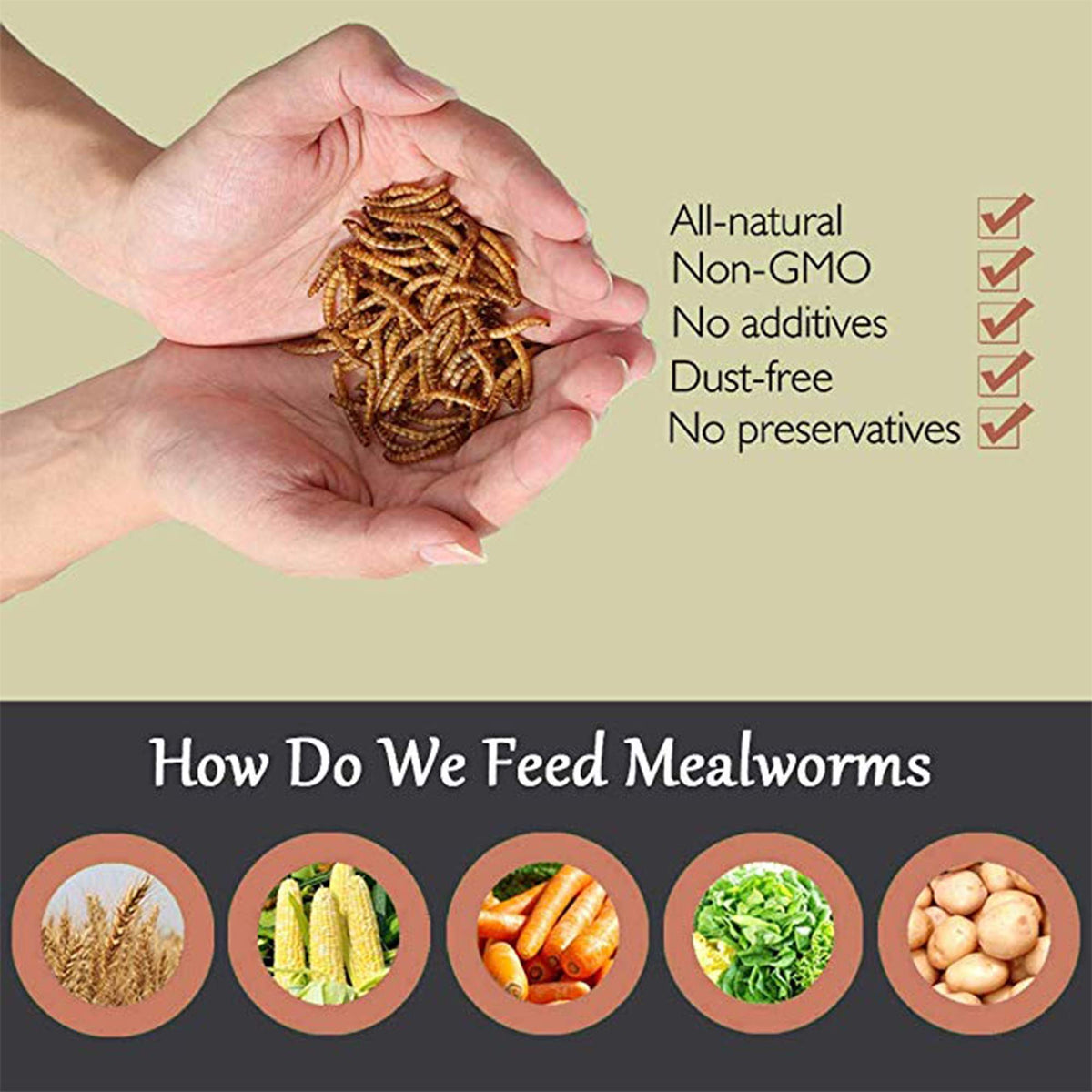 20 LBS Non-GMO Dried Mealworms E335