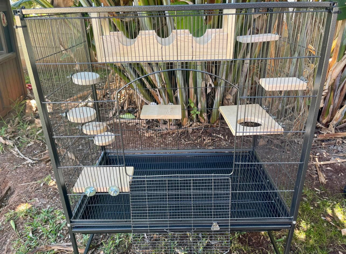 10 Piece Pine Pet Steps and Ledges W7409