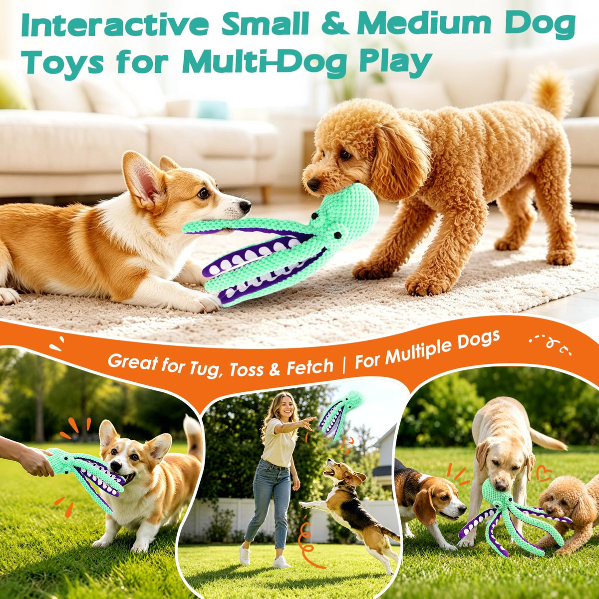 Dog Toys K467342
