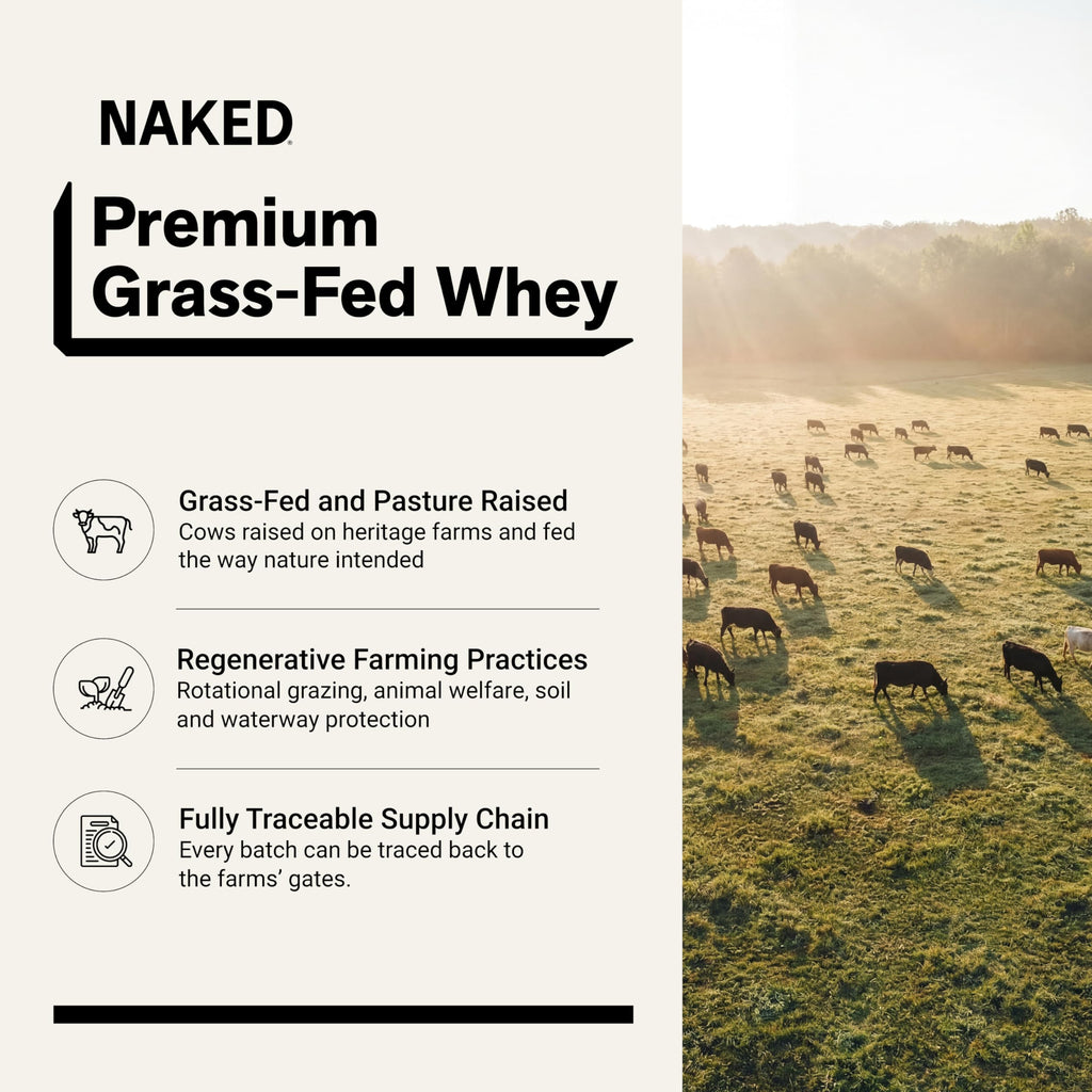 Chocolate Grass Fed Whey Protein Powder I50367
