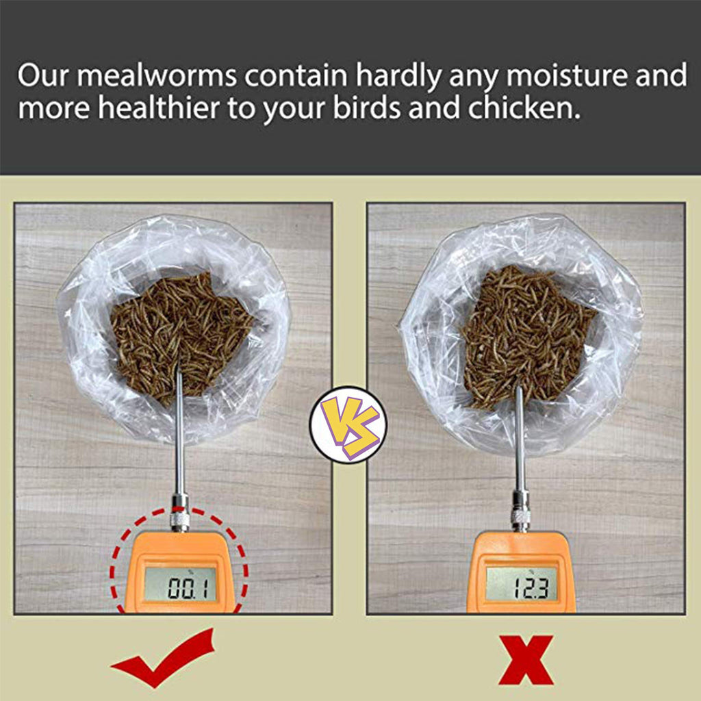 20 LBS Non-GMO Dried Mealworms E335