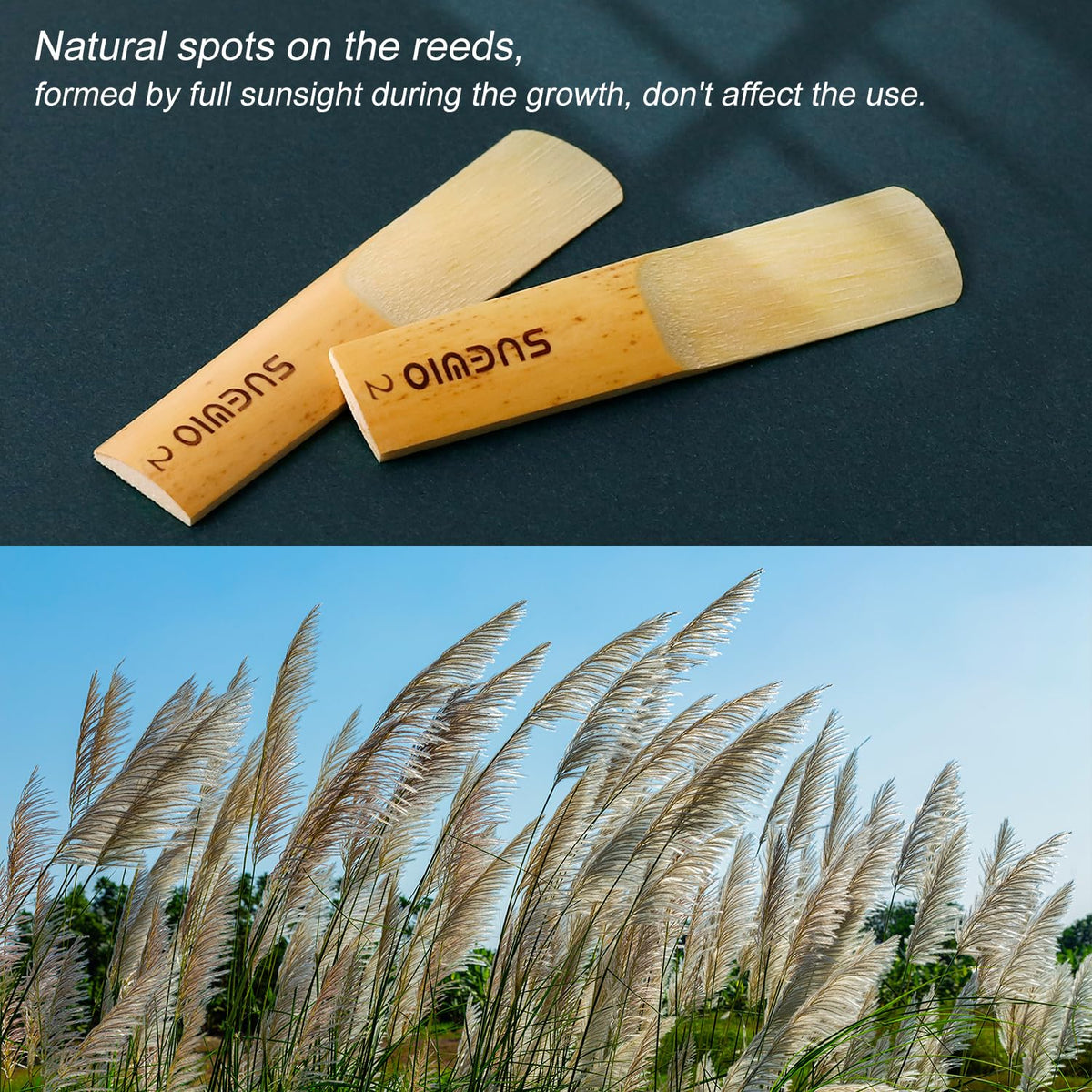 Alto Saxophone Reeds 10 Pack Strength 2.0 G7828
