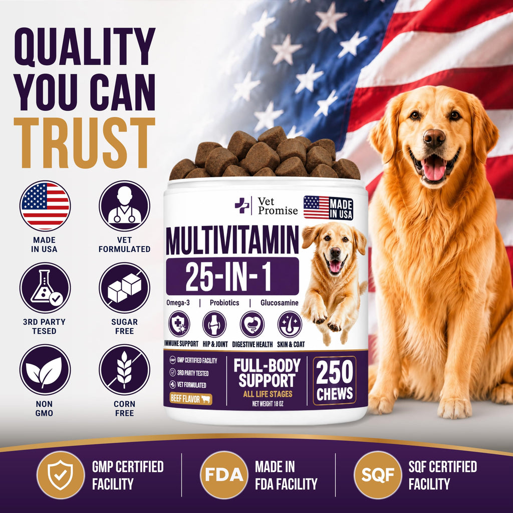 Dog Vitamins and Supplements, 250 Chews Y718317