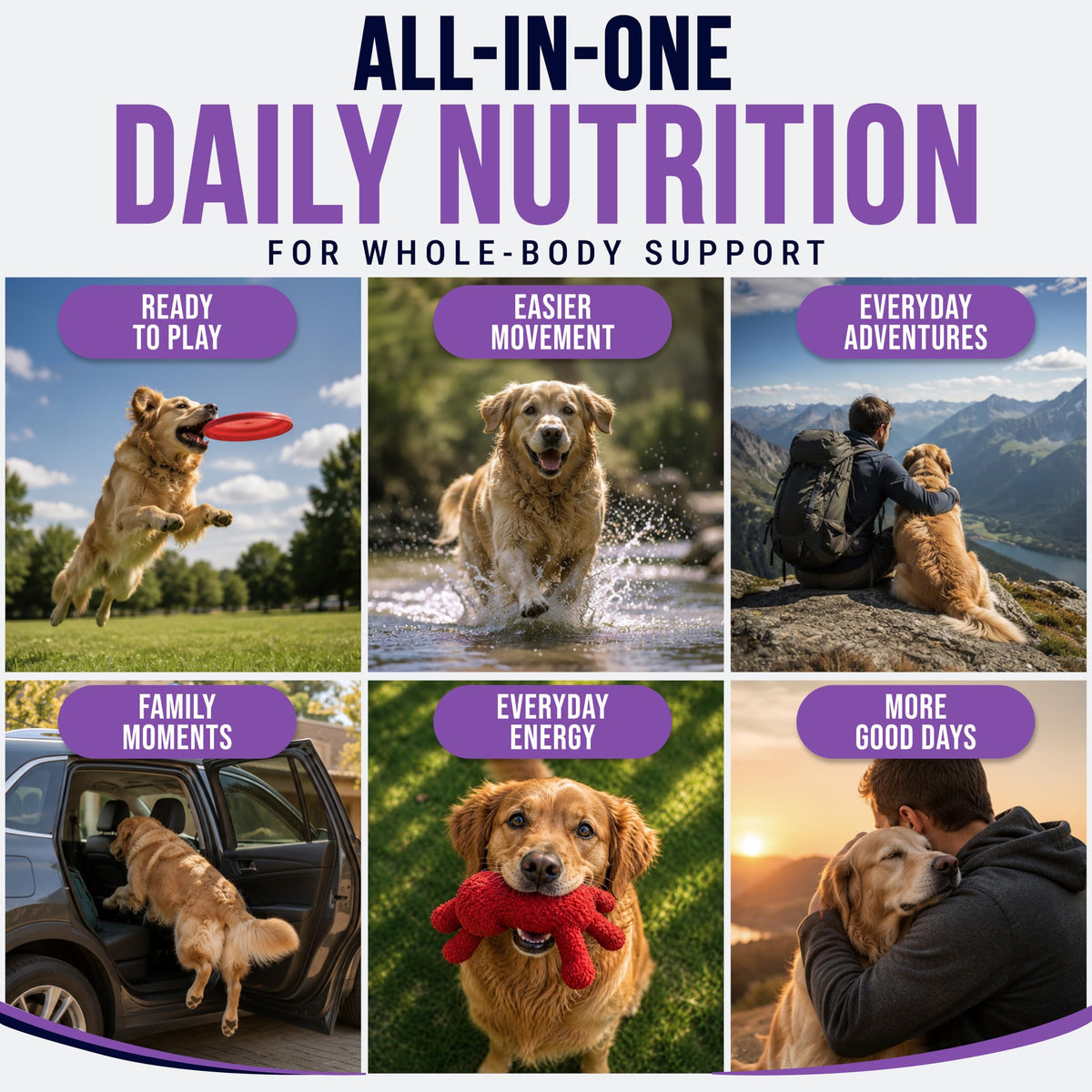 Dog Vitamins and Supplements, 250 Chews Y718317